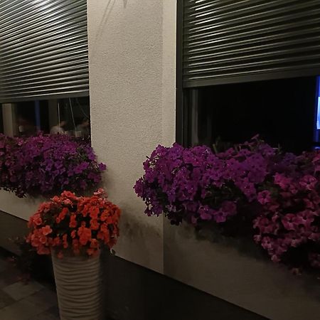 Lesne Niebo Hotell Lubniewice Eksteriør bilde