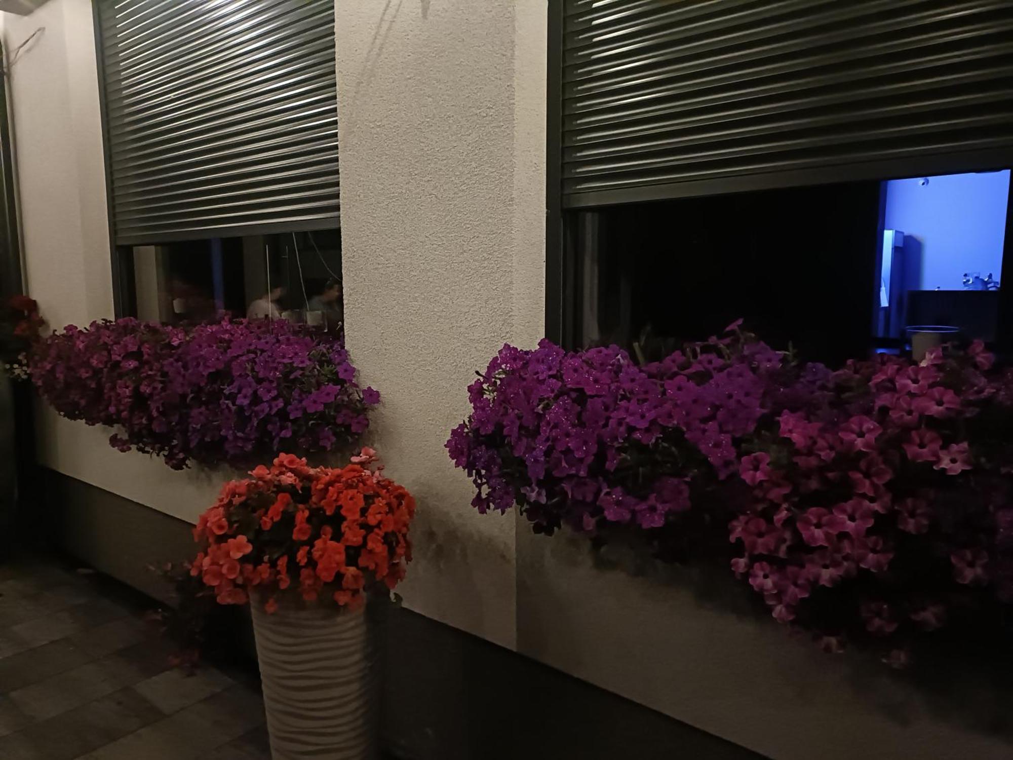 Lesne Niebo Hotell Lubniewice Eksteriør bilde